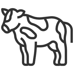milk carton icon