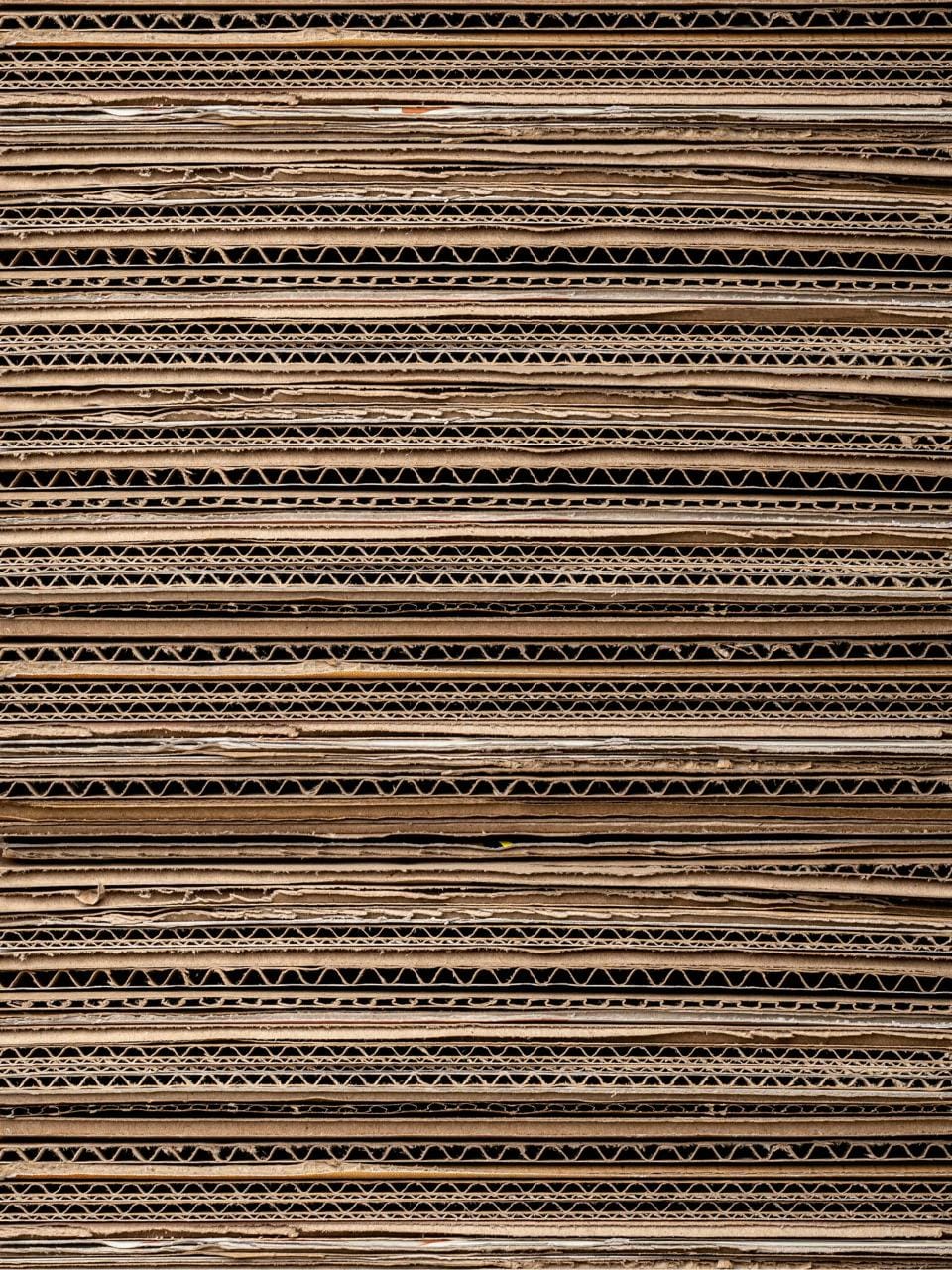 Image header